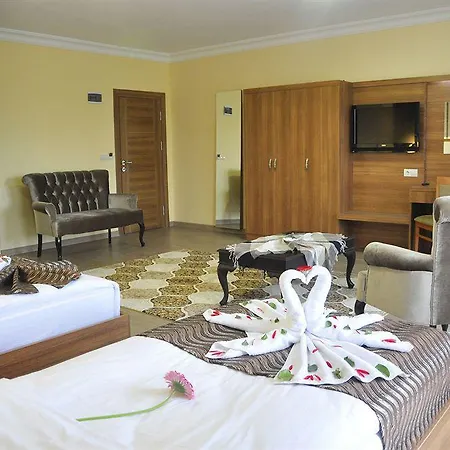 Hotel Aygur 3*